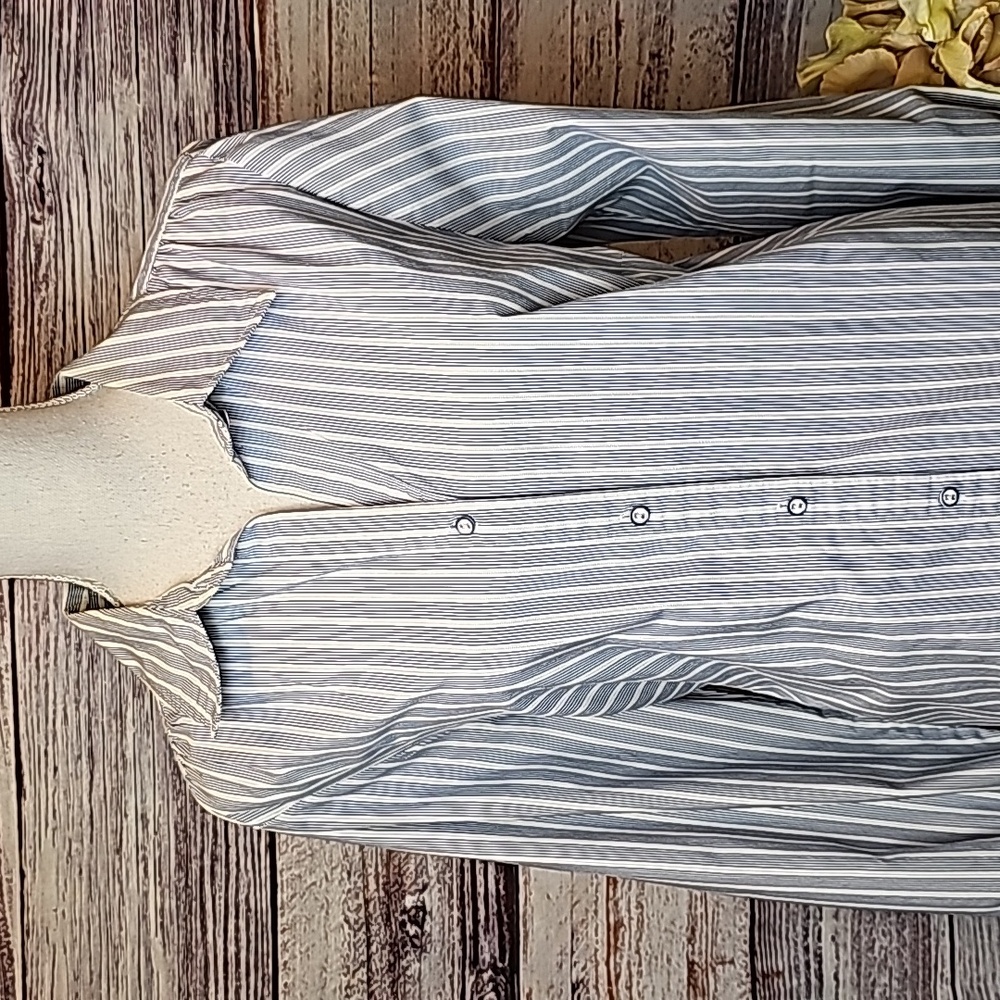AVENUE THE BEDFORD PLUS SIZE BLUE WHITE STRIPED BUTTON-UP BLOUSE - Picture 2 of 13